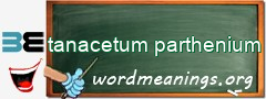 WordMeaning blackboard for tanacetum parthenium